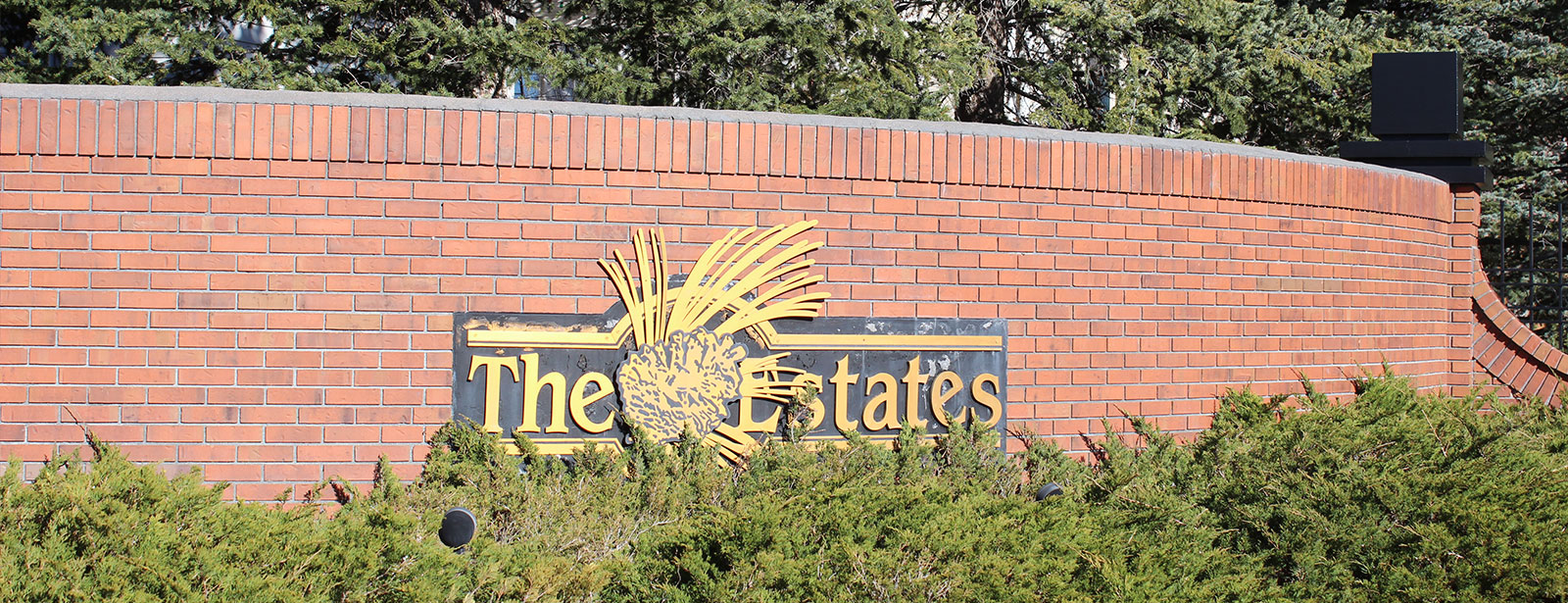 Piney Creek Estates Drew's Home Team